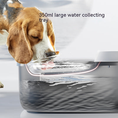 Fuente de Agua Circulante Inalámbrica para Mascotas - Image 9