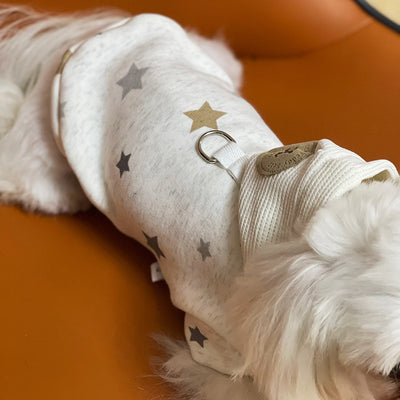 Ropa Casual Elegante para Mascotas Teddy - Image 16