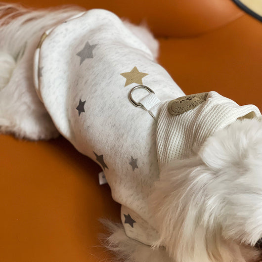 Ropa Casual Elegante para Mascotas Teddy - Image 16