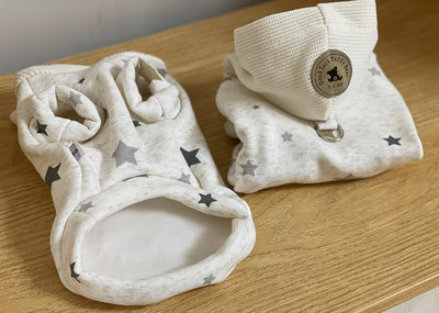 Ropa Casual Elegante para Mascotas Teddy - Image 19