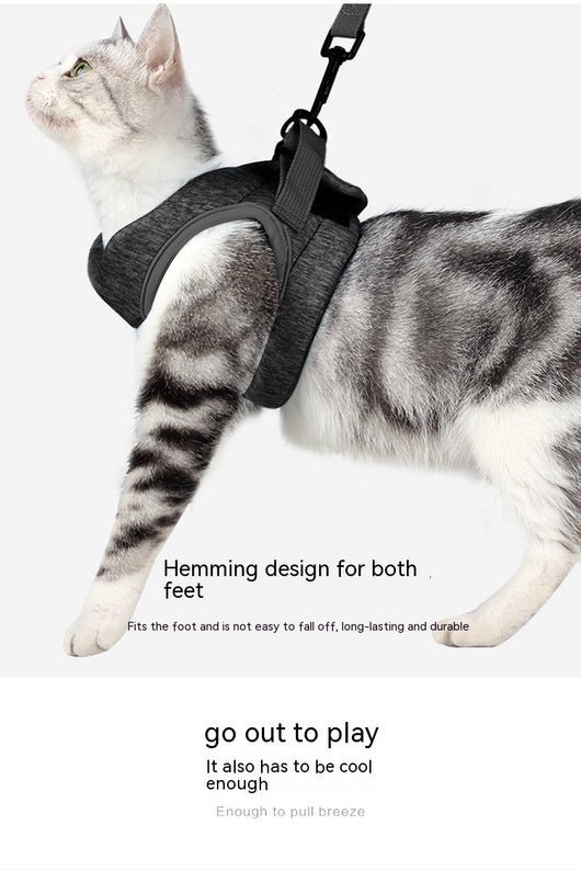 Arnés de Pecho Antiescapes para Gatos con Correa de Seguridad - Image 28