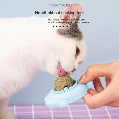 Light green turtle-shaped catnip toy with a clear, football-patterned dome filled with catnip. - Image 30