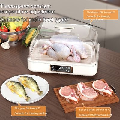 Placa Descongelante de Temperatura Constante para Carnes y Filetes - Image 14