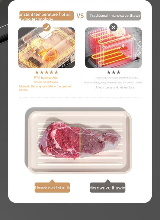 Placa Descongelante de Temperatura Constante para Carnes y Filetes - Image 19