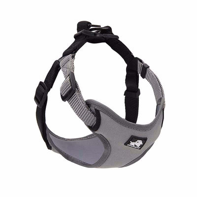 Correa y Collar para Pasear Perros - Control Seguro y Cómodo - Image 12