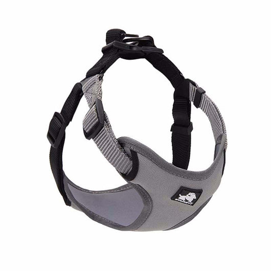 Correa y Collar para Pasear Perros - Control Seguro y Cómodo - Image 12