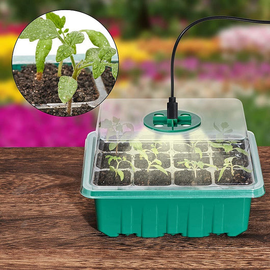 Bandeja de Germinación 12 Celdas con Lámpara LED - Image 22