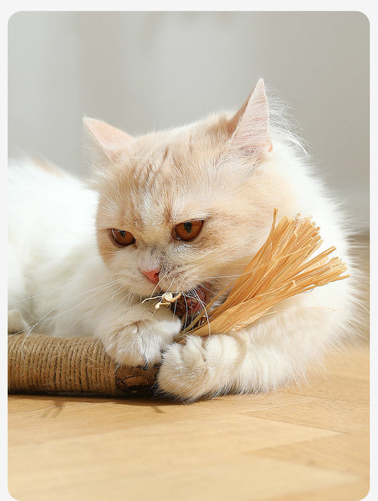Juguete Masticable para Gatos con Catnip - Varita Molar Antiaburrimiento - Image 19