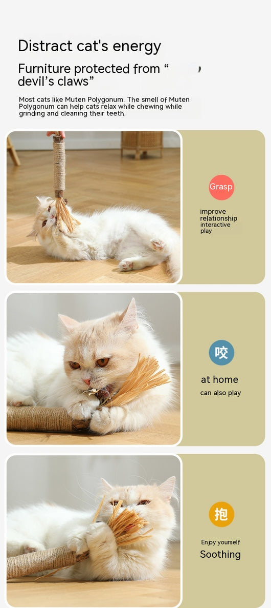 Juguete Masticable para Gatos con Catnip - Varita Molar Antiaburrimiento - Image 24