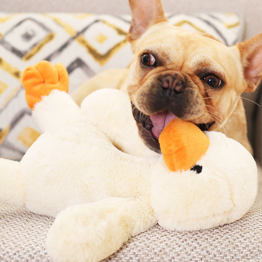 Cream plush duckling toy with an orange beak and feet, standing upright, measuring 35cm tall. - Image 11