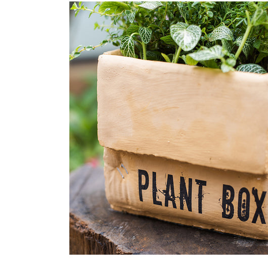 Maceta Creativa de Papel Cemento para Plantas de Interior y Balcón - Image 33