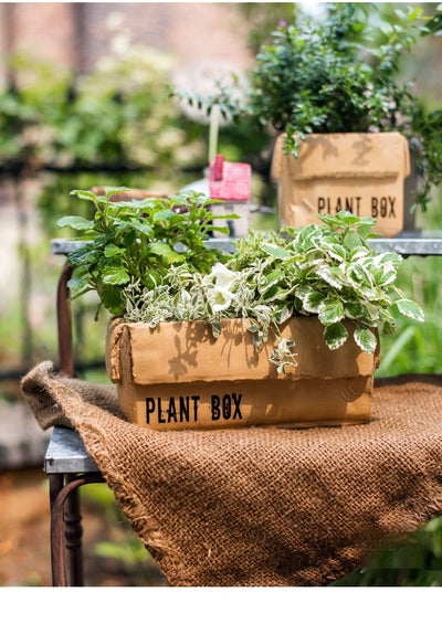 Maceta Creativa de Papel Cemento para Plantas de Interior y Balcón - Image 38