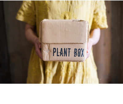 Maceta Creativa de Papel Cemento para Plantas de Interior y Balcón - Image 39