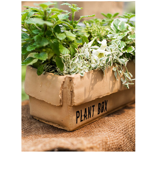 Maceta Creativa de Papel Cemento para Plantas de Interior y Balcón - Image 42