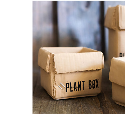 Maceta Creativa de Papel Cemento para Plantas de Interior y Balcón - Image 44