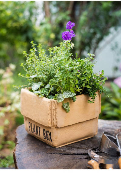 Maceta Creativa de Papel Cemento para Plantas de Interior y Balcón - Image 46