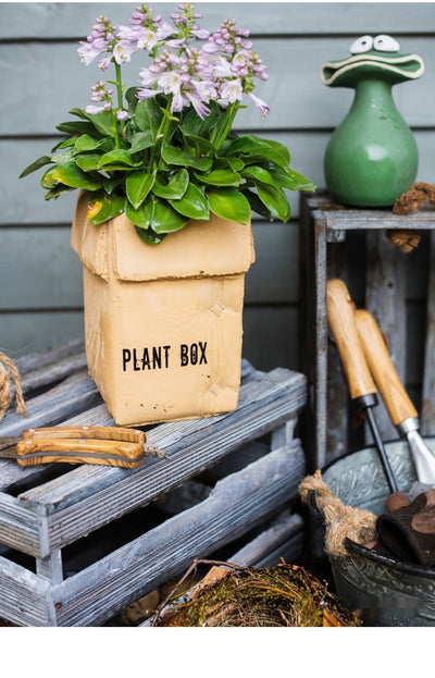Maceta Creativa de Papel Cemento para Plantas de Interior y Balcón - Image 48