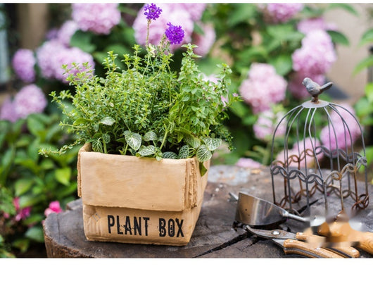 Maceta Creativa de Papel Cemento para Plantas de Interior y Balcón - Image 49