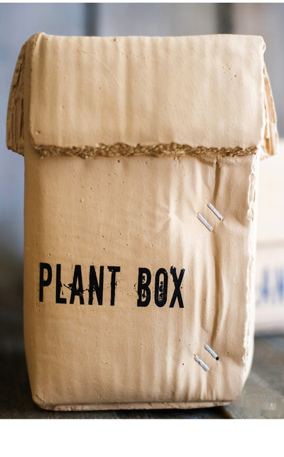 Maceta Creativa de Papel Cemento para Plantas de Interior y Balcón - Image 50