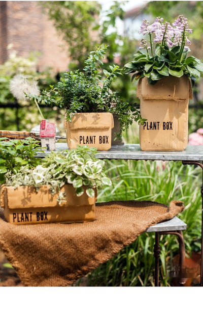 Maceta Creativa de Papel Cemento para Plantas de Interior y Balcón - Image 51