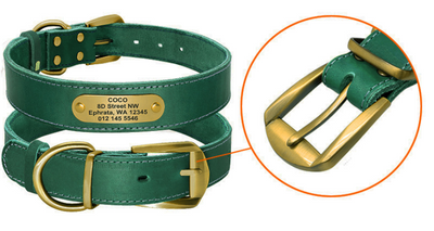 Collares Personalizados para Perros Medianos y Grandes con Placa de Identificación - Image 15
