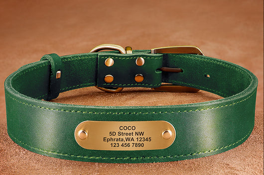 Collares Personalizados para Perros Medianos y Grandes con Placa de Identificación - Image 16