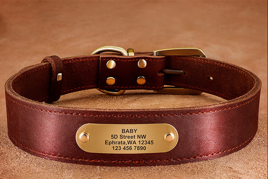 Collares Personalizados para Perros Medianos y Grandes con Placa de Identificación - Image 17