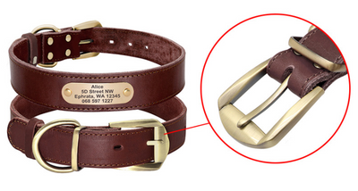 Collares Personalizados para Perros Medianos y Grandes con Placa de Identificación - Image 18