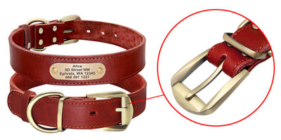 Collares Personalizados para Perros Medianos y Grandes con Placa de Identificación - Image 19