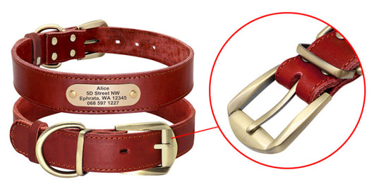 Collares Personalizados para Perros Medianos y Grandes con Placa de Identificación - Image 19