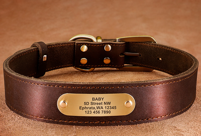 Collares Personalizados para Perros Medianos y Grandes con Placa de Identificación - Image 20