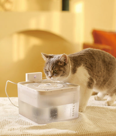 Dispensador de Agua Inteligente con Inducción Inalámbrica para Mascotas - Image 7