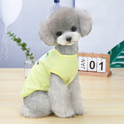 Chaleco de Moda para Perros con Bordado Elegante - Image 34