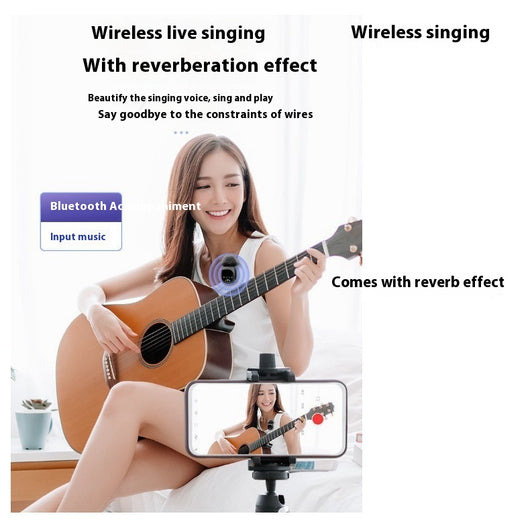Micrófono Inalámbrico Bluetooth con Reverb Integrado - Image 19