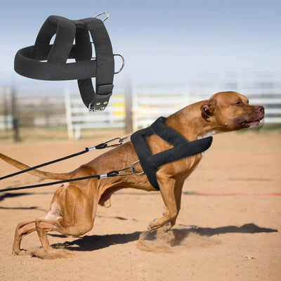 Arnés de Tracción para Perros con Acolchado Suave - Razas Grandes - Image 13
