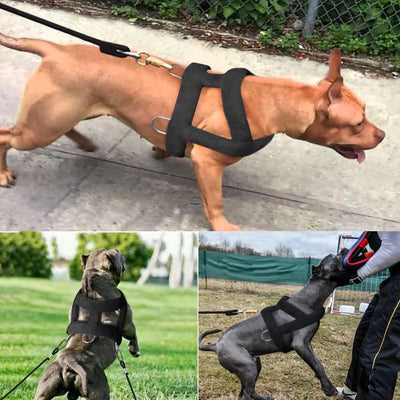 Arnés de Tracción para Perros con Acolchado Suave - Razas Grandes - Image 17