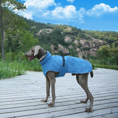 Abrigo Impermeable para Perros - Traje de Esquí Invernal - Image 16