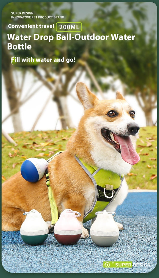 Bebedero Portátil para Perros con Dispensador de Agua - Image 13