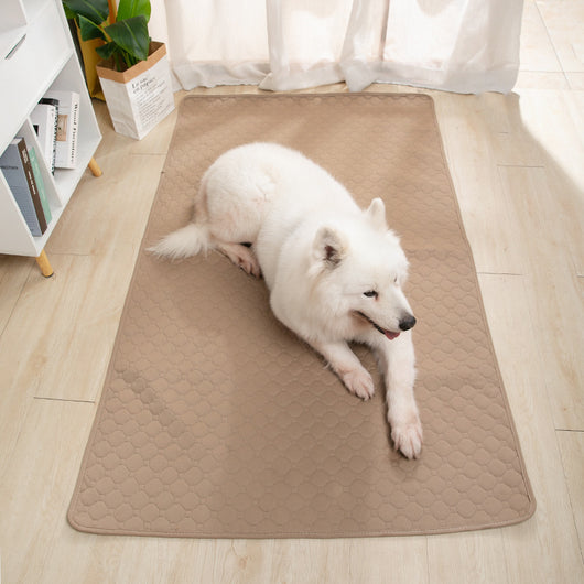 Tapete Absorbente Lavable para Mascotas con Base Antideslizante - Image 24