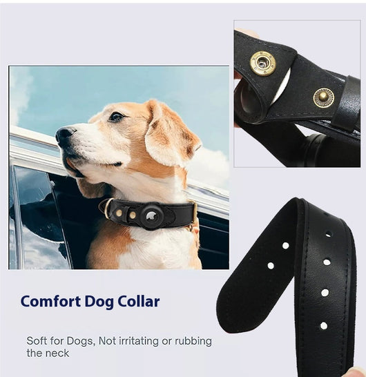 Collar de Cuero Genuino para Mascotas - Image 12