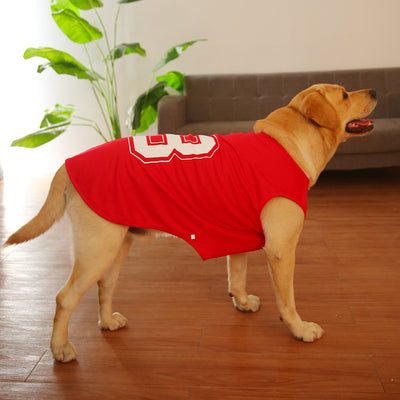 Chaleco Fresco para Perros Grandes - Tela Ligera Verano - Image 16