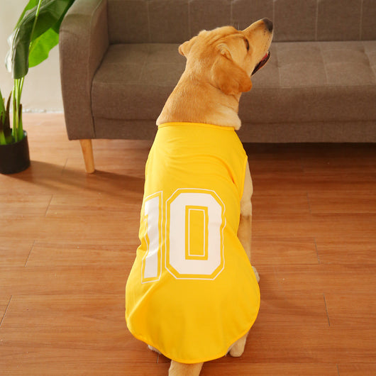 Chaleco Fresco para Perros Grandes - Tela Ligera Verano - Image 20