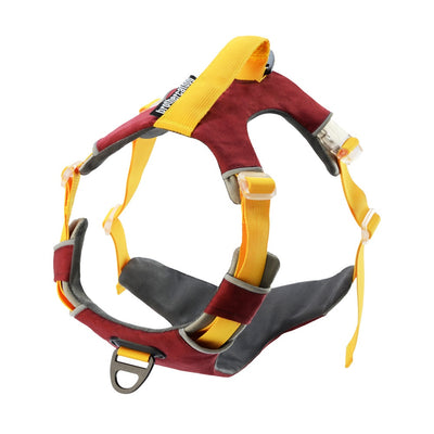 Chaleco Reflectante para Entrenamiento de Perros con Correa de Pecho - Image 19