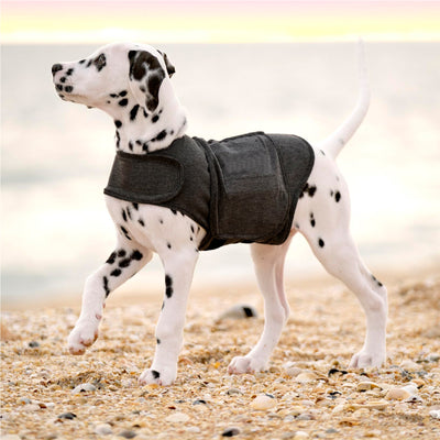 Chaleco Térmico para Perros - Abrigo Cálido y Cómodo - Image 10