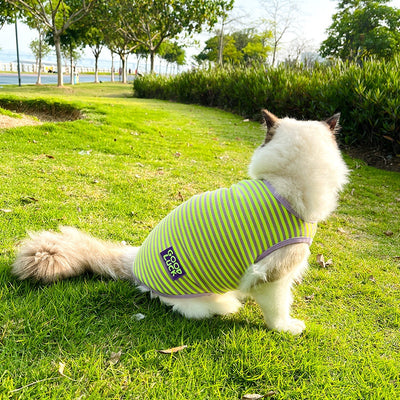 Chaleco Transpirable a Rayas para Perros y Gatos Pequeños - Image 14