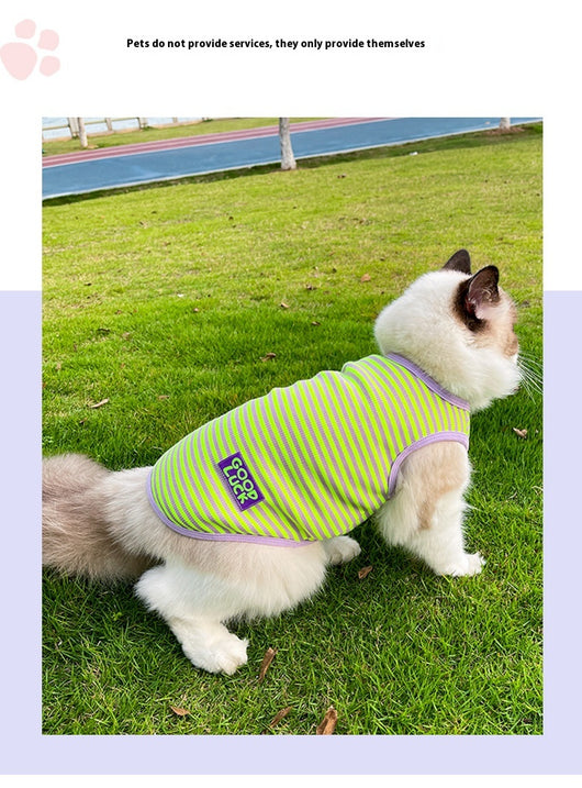 Chaleco Transpirable a Rayas para Perros y Gatos Pequeños - Image 21