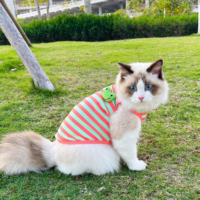 Chaleco Rayado para Perros Pequeños - Ropa Cómoda y Elegante - Image 18