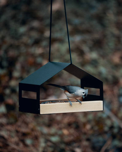 Comedero Colgante para Pájaros - Decoración de Jardín Exterior - Image 21