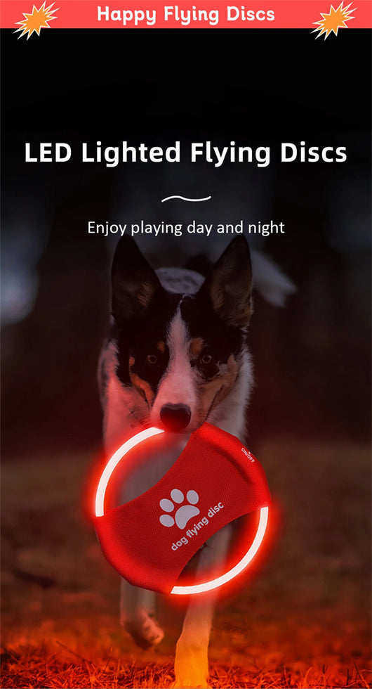 Disco Volador LED Luminoso para Perros - Juguete Interactivo Entretenimiento - Image 11