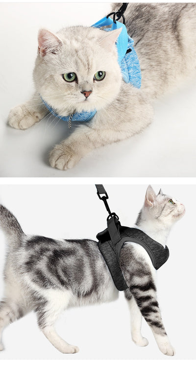 Chaleco Antiescape con Cuerda de Tracción para Gatos - Image 34